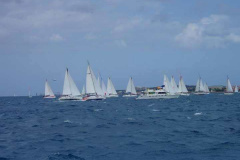 21-Nice-Division