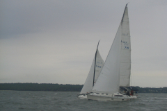 HUntLloyds-3-62