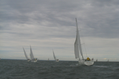 HUntLloyds-3-75