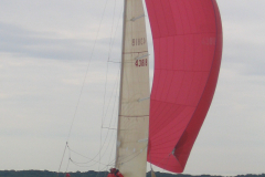 HuntLloyds-2-19