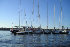P9051166
