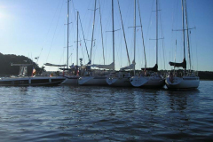 P9051167