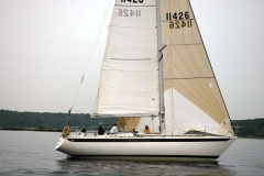 Rascal-34