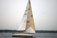 Rascal-Finish-51