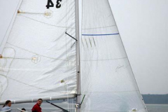 Vex-Finish-49