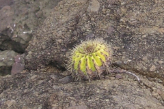 P3021560