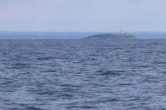 augcruise-1