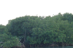 powersbvi07small-178