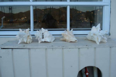 powersbvi07small-187