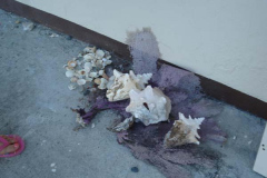 powersbvi07small-188