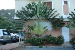 powersbvi07small-191