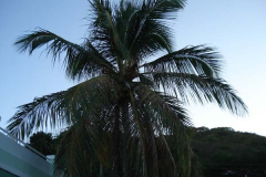 powersbvi07small-192