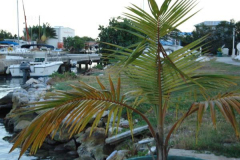 powersbvi07small-200