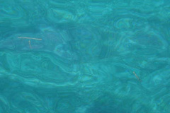 powersbvi07small-208