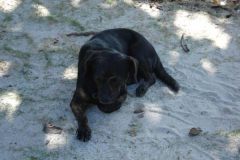 powersbvi07small-209