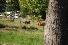 powersbvi07small-229