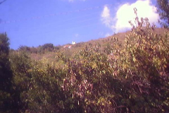 powersbvi07small-4