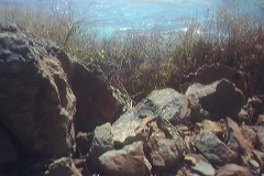 powersbvi07small-41