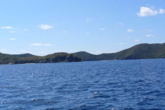 sterfbvi2007-129