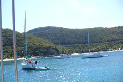 sterfbvi2007-149
