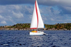 storkbvi2007-7