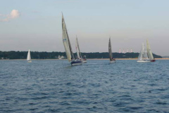 P1000529