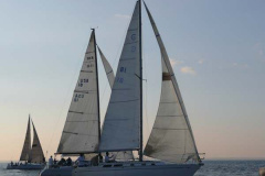 P1000564