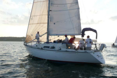 P1000581