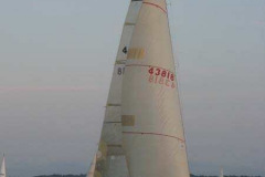 2008-Commodors-Cup-23