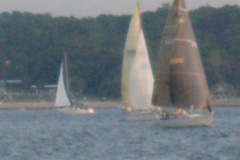 2008-Commodors-Cup-7