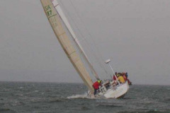 2008-huntLloyds-Dara-34