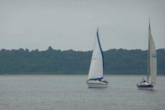 P1010272