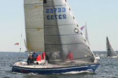 IMG_9137-Cropped-1