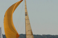 IMG_9227-Cropped