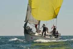 2015-Block-Island-Race-Week-B-569