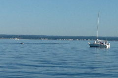 716B5EF9-FDA3-41A5-8D52-7EDEACB8AB99