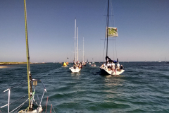 IMG_20150622_094018