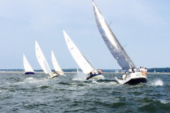 11800089_10152894530255836_148239915110216147_n