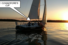 IMG_20170609_200639-picsay