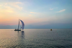 44535063_916537721865418_6283644794518372352_n