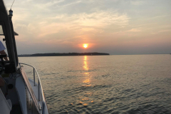 44560287_335568960529649_6045486182190546944_n