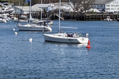 PXL_20220423_161802629