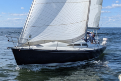 PXL_20220730_204009838